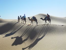 Comptoir de la Tunisie, le spécialiste des voyages sur mesure en Tunisie